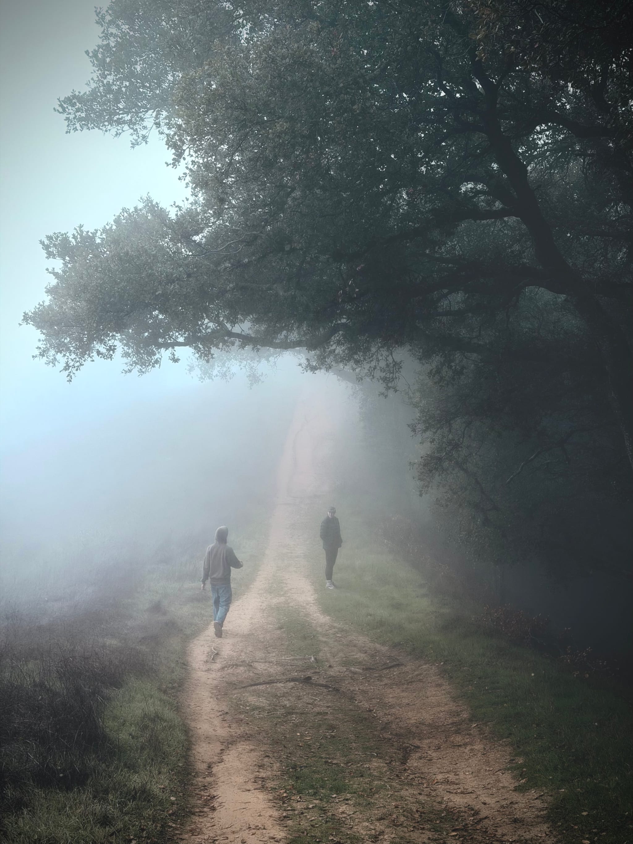 Two people walking along a dirt path that disappears into thick fog beneath overhanging trees