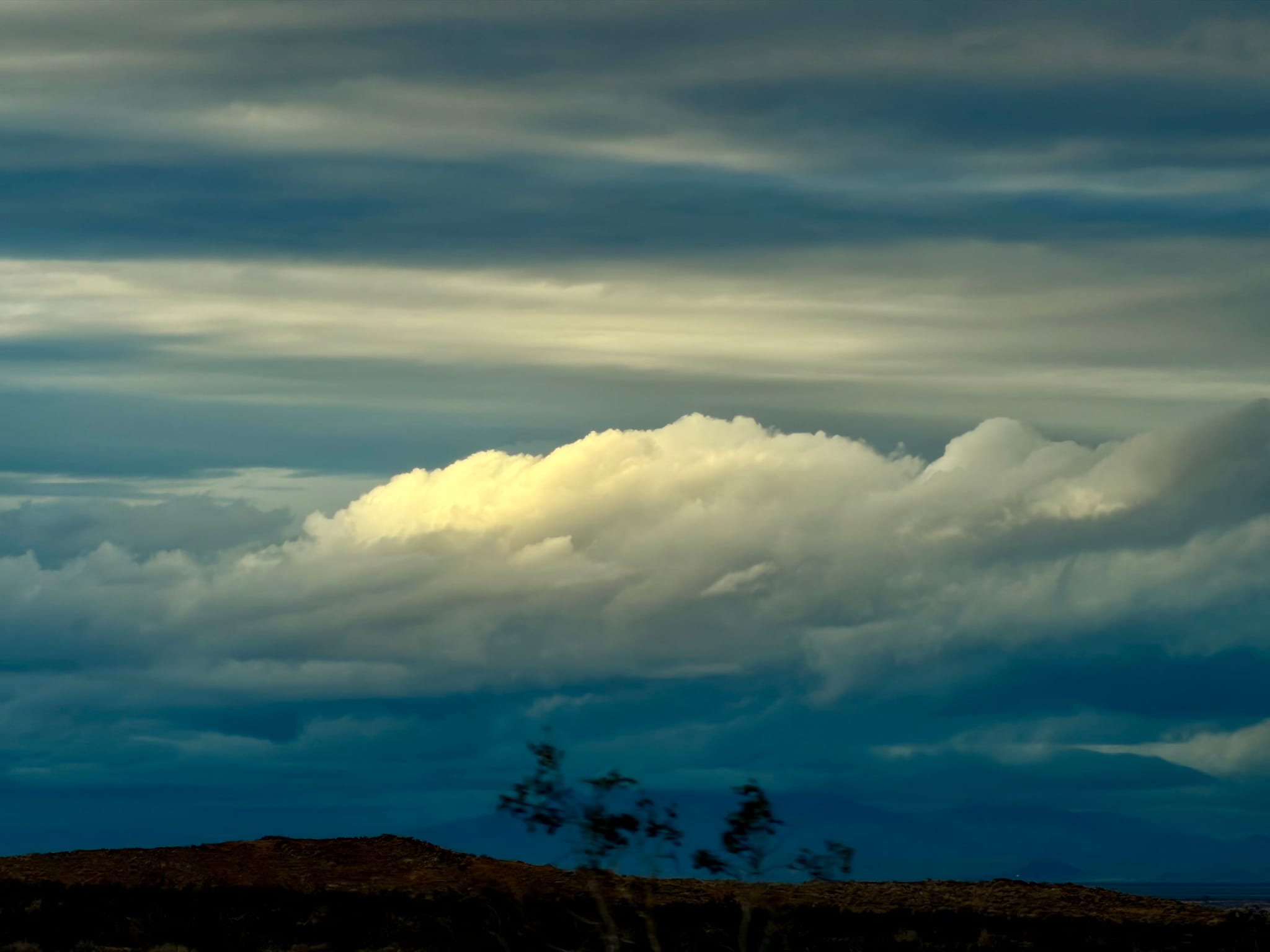 Layered storm clouds with a bright sunlit cloud bank above a dark horizon and sparse trees