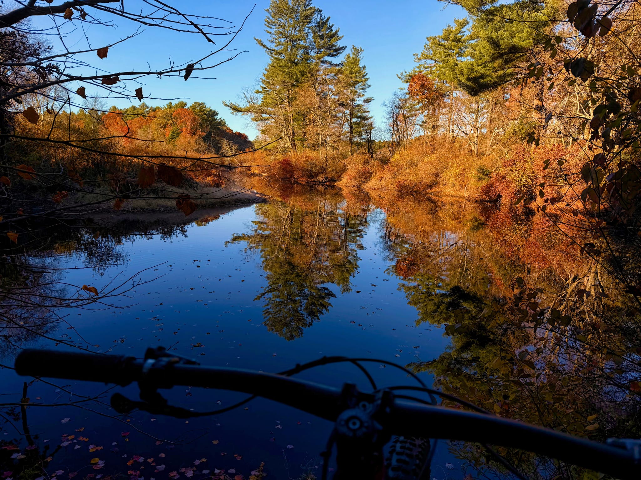 Bike handlebars facing a still pond reflecting autumn trees and blue sky